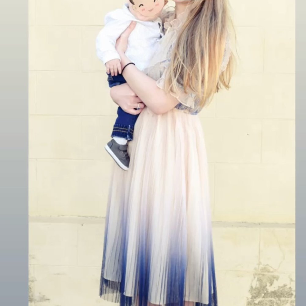Chicwish GRADIENT PLEATED MESH TULLE DRESS